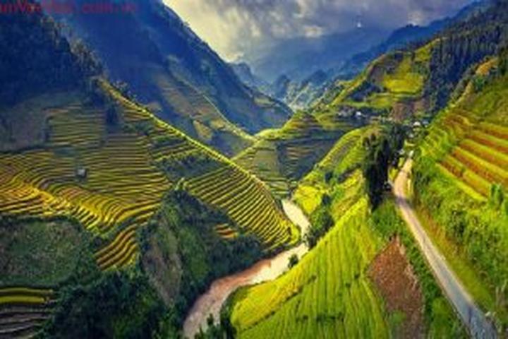 Những ai bị phát hiện gỡ giỏ - Cảm hứng video marketing từ Hotspot Matrix