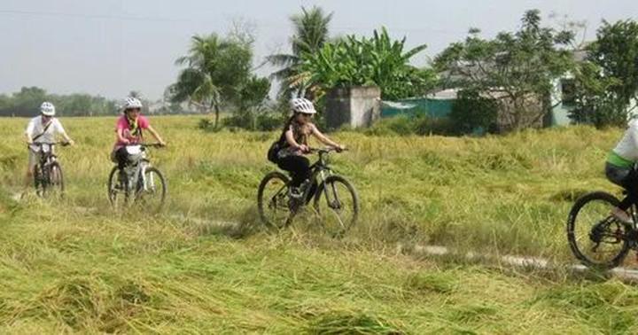 Nội dung: Trong một bóng mát trong mùa hè nóng bỏng, một cột mốc trong lịch sử nhạc