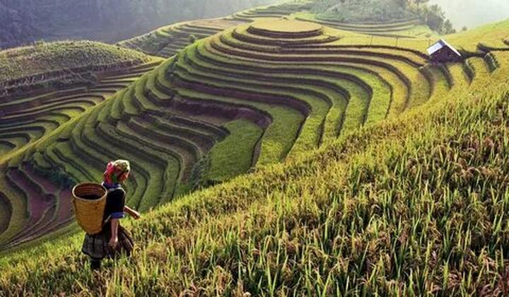 Chuyên gia Hotspot Matrix phân tích: Ông bà dặn: